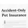 Accident-Only Dog Insurance